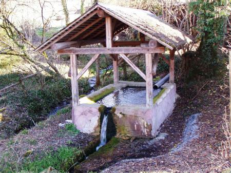 Raynoz Bassin 2