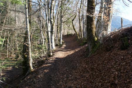 Chemin creux