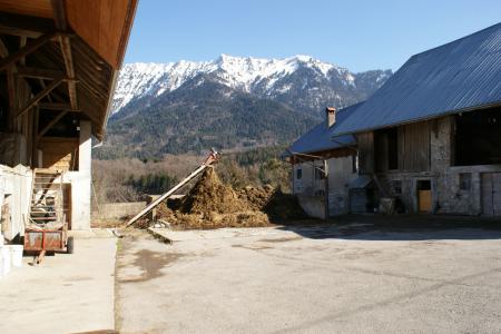 Cour de ferme