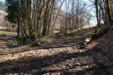 En allant vers les Combes